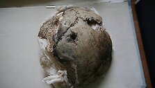 JAV mokslininkai prie&scaron; kurį laiką parei&scaron;kė, kad Rusijos archyve saugomi kaukolės fragmentai i&scaron; tiesų yra moters, o ne Trečiojo reicho vadovo.