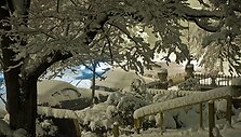 Va&scaron;ingtoną užklojo storas sniego sluoksnis.