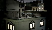 Nugalėtojo Pietro Masturzo fotografijoje įamžinta protesto &scaron;ūkius skanduojanti iranietė, užsilipusi ant stogo temstančio dangaus fone.