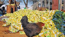 Pienas kaimiečių kiemuose, pasak firmos atstovo, buvo paliktas &bdquo;saugoti&ldquo;.
