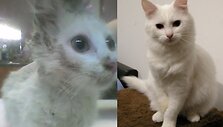 Gilė istorijos pradžioje ir dabar, prabėgus penkiems mėnesiams
