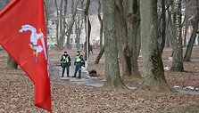 Patriotinės eitynės Kaune