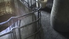 Įrenginys naminukei gaminti