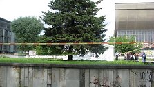 Kapinių ribų ie&scaron;koma prie sporto rūmų