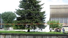 Prie archeologų palapinės tarp rabino ir fotokorespondento kilo 