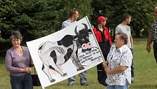 Pieno gamintojų protesto akcija.