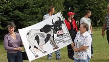 Pieno gamintojų protesto akcija.