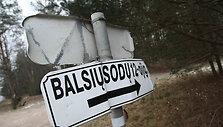 Žaliųjų Ežerų g. siautėjo vandalai
