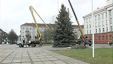 &Scaron;iauliuose statoma Kalėdų eglė