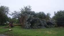 Po audros