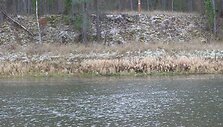 Baltarusijos pasienis