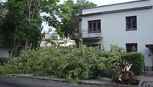 Vilnius po audros