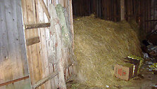 Kontrabandininkų daržinė