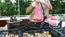 Straipsnio autorius, lankydamasis JAV, įsitikino, jog maistas ten brangesnis nei Lietuvoje