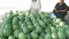 Arbūzai