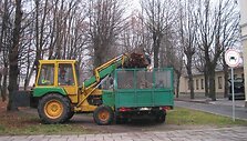Rudeniai lapai &ndash; puo&scaron;mena, tačiau vargas kiemsargiams.