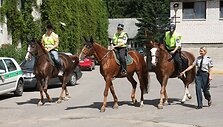 Raitoji policija