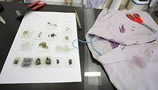 galės susipažinti su akcijos &bdquo;Meno i&scaron;karpymas&ldquo; metu gimusiais kūriniais.