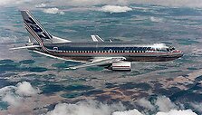 &bdquo;Boeing-737&ldquo;, pakilęs vir&scaron; žemės