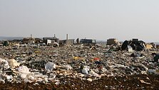 Vienoje i&scaron; Kalotės pa&scaron;iūrių kilus gaisrui sudegė moteris.