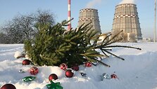 Surinktos kalėdinės eglutės keliaus į &bdquo;Vilniaus energiją&ldquo;, i&scaron; kur skleis &scaron;ilumą centralizuotai &scaron;ildomiems vilniečių namams.