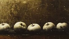 Vienas i&scaron; fotografo R.Treigio darbų.