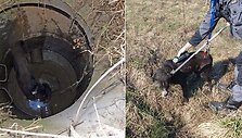 Nors nežinia, kiek laiko gyvūnas prabuvo &scaron;uliny, laimei, jis nė kiek nenukentėjo. 