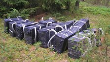Cigarečių dėžės buvo apvyniotos polietilenu.