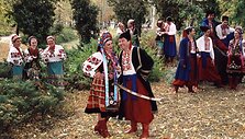 Ukrainiečių kolektyvas &bdquo;Darnyčanka&ldquo; - įvairių konkursų laureatas.
