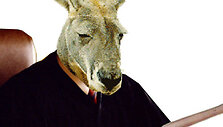 Kengūros