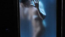 Orgazmo diena