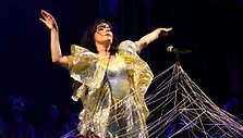 Bj&ouml;rk