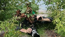 Paparacas
