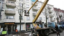 Miesto politikai stebėjosi, jog už kai kurių medžių nukirtimą savivaldybė priversta mokėti net iki 1,5 tūkst. Lt.