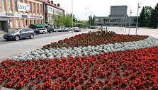 Laisvės aikstė Panevėžyje