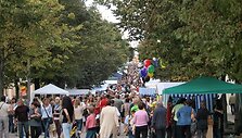 &Scaron;iaulių miesto gimtadienis