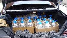 Naminukė automobilio bagažinėje