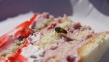 Tortu apsinuodijo vestuvėse ir jubiliejaus &scaron;ventėje dalyvavę žmonės.
