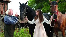 Filmas &bdquo;Karo žirgas&ldquo;