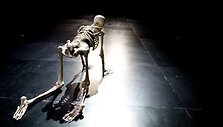 Momentas i&scaron; Romeo Castellucci trilogijos &bdquo;Pragaras. Skaistykla. Rojus&ldquo;