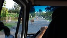 VGTU Turistų klubo narių kelionė į Gruziją