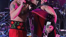 Grupė &bdquo;Haydamaky&ldquo;