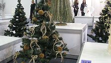 Kompozicija parodoje &bdquo;Žiemos puok&scaron;tė&ldquo;