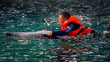 Vaikas plaukioja su delfinu