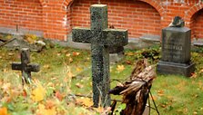 Kryžius