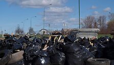 Klaipėdiečių surinktos &scaron;iuk&scaron;lės