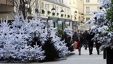 Likus mažiau nei dviem savaitėms iki Kalėdų, į gatves i&scaron;ne&scaron;amos ir eglutės. 