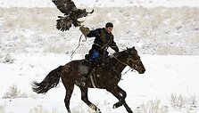 Vienas i&scaron; varžybų dalyvių. Dauguma Kazachstano gyventojų medžioklę su ereliais iki &scaron;iol laiko savo tautos  praeities simboliu.