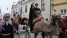 Trijų karalių eisenos prie&scaron;akyje ant kupranugario keliauja karalius Merkelis, jam i&scaron; paskos seka karalius Baltazaras. 