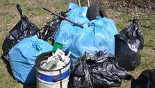 &Scaron;iuk&scaron;les žmonės aktyviai rinko ir Rasų seniūnijai priklausančiuose mi&scaron;kuose.